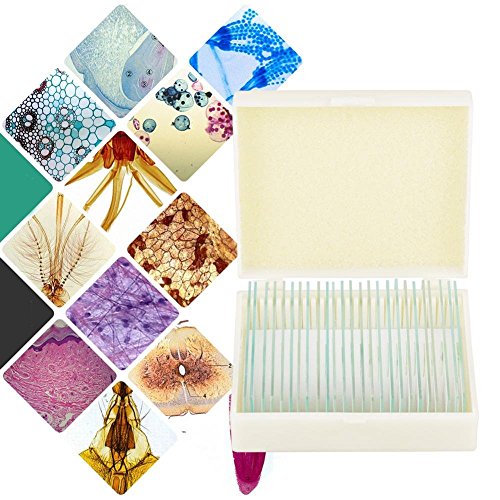 Prepared Microscope Slides 25pcs Biology Glass Lab Microscope Slides Specimens for Basic Biological Science Education with Includes Labels and Case