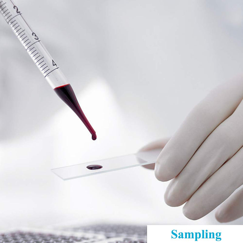 6PCS Thick Glass Graduated Dropper Pipettes Fluid and Liquid Pipettors 0.5ml 1ml 2ml 3ml 5ml 10ml with Caps and 2PCS Washing Brushes (20cm-7.8inch) 6