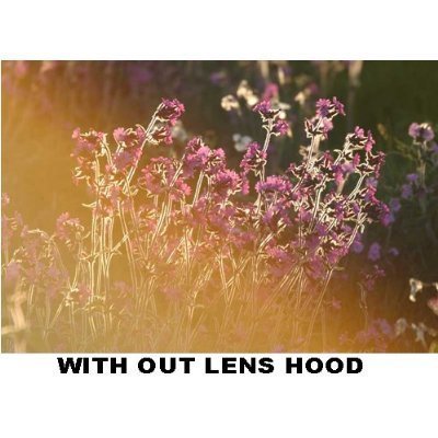 Polaroid Scalloped Lens Hood 62mm 62 mm