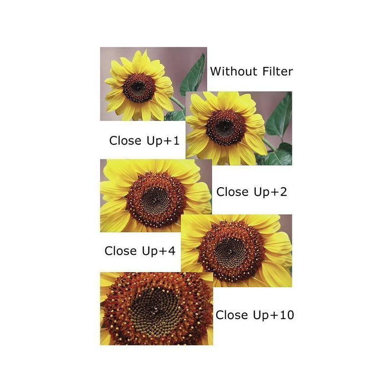 [AUSTRALIA] - 55mm and 58mm Close-Up Filter Set (+1, 2, 4 and +10 Diopters) Magnification Kit for Nikon D5600, D3400 DSLR Camera with Nikon 18-55mm f/3.5-5.6G VR AF-P DX and Nikon 70-300mm f/4.5-6.3G ED 
