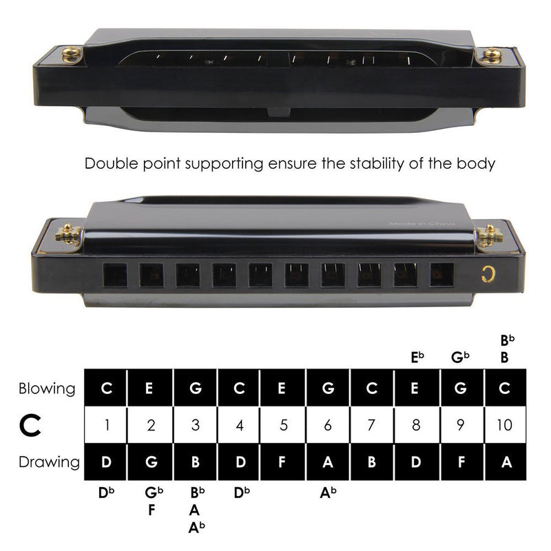 Harmonica for Toddlers, Kids, and Adults, Mini Musical Instrument for Beginners: Boys & Girls with 10 Holes and 20 Notes, Stainless Steel Diatonic Mouth Organ Complete with Storage Bag for Children