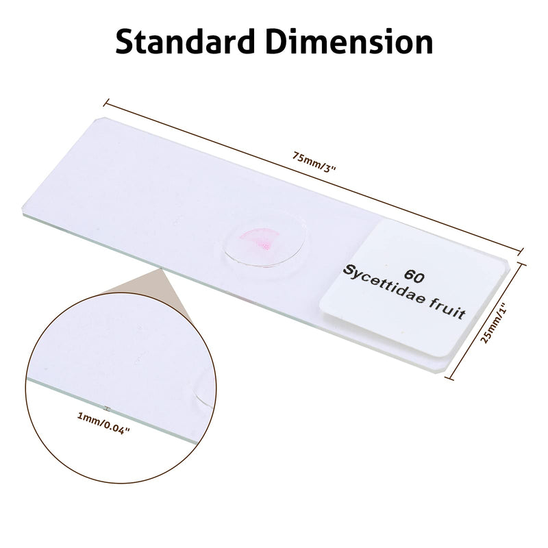 60Pcs Prepared Microscope Slide Set for Kids & Students, Glass Slides for Microscope Including Animal & Plant Specimens, for School and Home Education