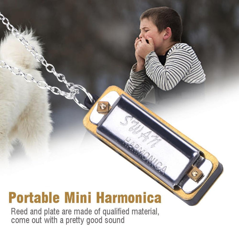 Mini Harmonica, Necklace Key of C 4 Holes 8 Tones Harmonica Portable Mouth Organ for Kids Beginner(Silver) Silver