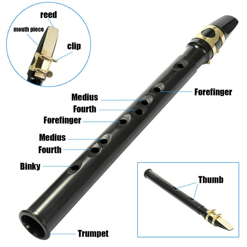 Pocket Saxophone Kit Mini Sax Portable Woodwind Instrument with Lid, Mouthpiece, Carrying Bag, Fingering Charts