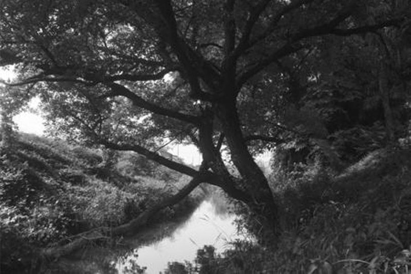 Hoya 72mm RM-72 Infrared Filter
