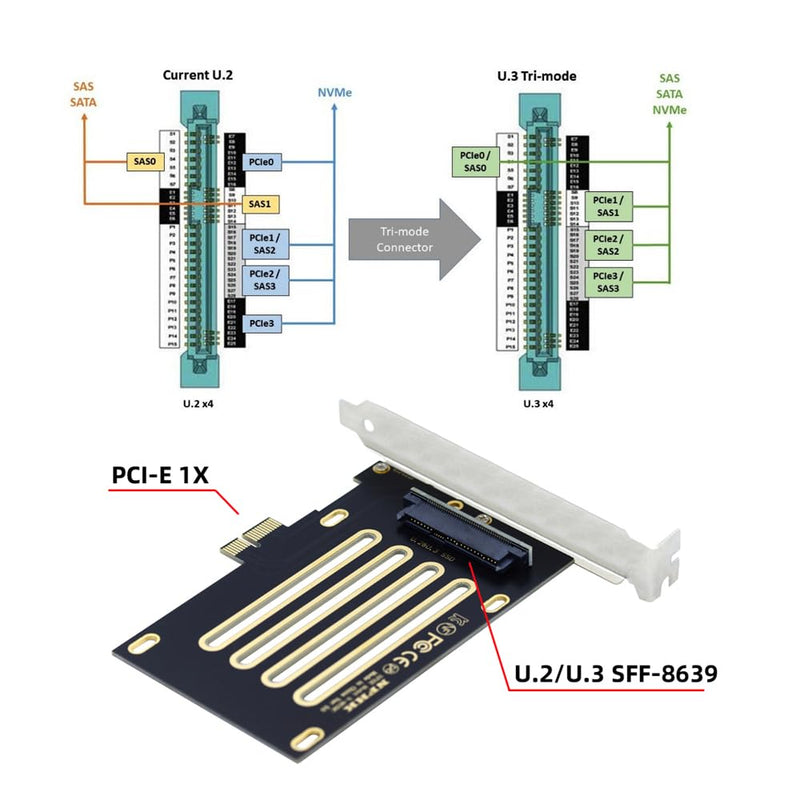 [AUSTRALIA] - Cablecc PCI-E 4.0 X1 to U.2/U.3 SFF-8639 Host Adapter for PM1735 NVMe PCIe SSD Black 1X to U.2+U.3 Adapter 