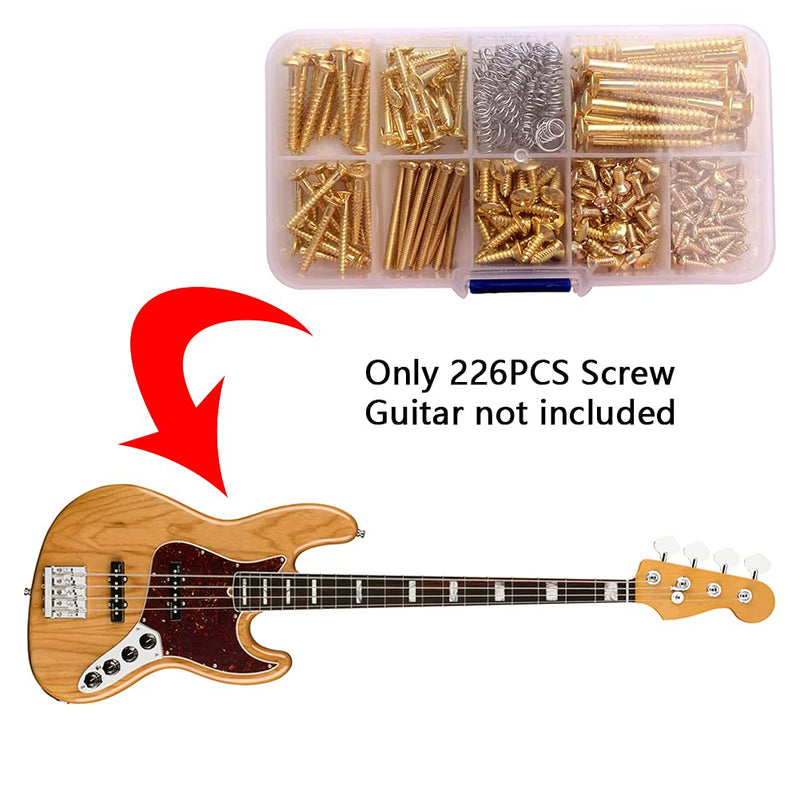 DSFSAEG Guitar Screw Kit 226 PCS, Assortment Box Kit for Electric Guitar Bridge, Pickup, Pickguard, Tuner, Switch, Neck Plate, with Springs(1) 1