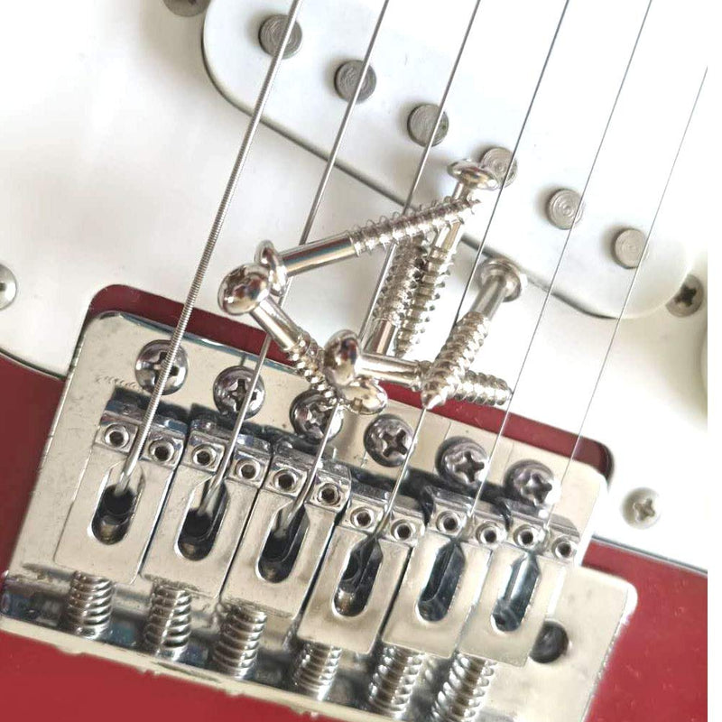 HENGYEE Guitar Screw Kit Assortment with Custom Acrylic Storage Box for Electric Guitar Bridge,Pickup Ring, Pickguard, Tuner 146pcs