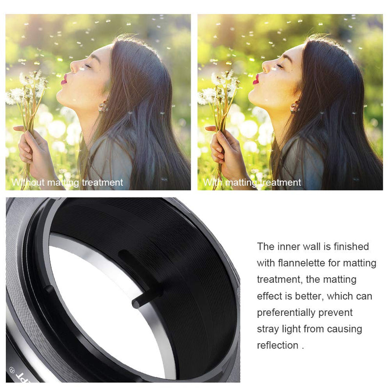 K&F Concept Lens Mount Adapter with Light-Reducing Paint Compatible for FD FL Lens to Sony NEX E-Mount Camera for Sony Alpha NEX-7 NEX-6 NEX-5N NEX-5 NEX-C3 NEX-3