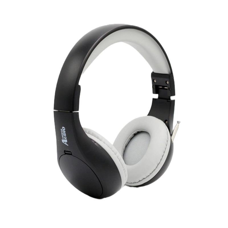 Things Audio Portable Personal FM Radio Headphones Pull-Out Antenna for Great Reception, Walking, Jogging, Relaxing, School, Talk Radio - Powered by 2AA Batteries (Not Included) (Black & Gray) Black & Gray