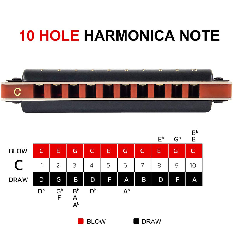 AKLOT Blues Harmonica 10 Hole Diatonic Harp Key of C Blues Harp 20 Tones for Adult and Kid with Hard Case Black