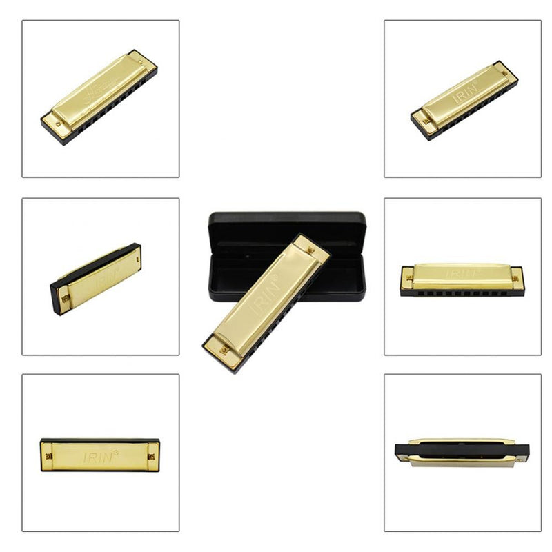 Dilwe 10 Holes Harmonica, Lightweight Metal 10 Holes Harmonica Musical Instruments for Beginner Kids Gold