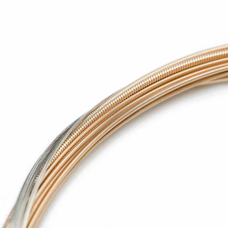 Alice Acoustic Guitar Strings .012-.053 Light Tension Phosphor Bronze Winding with Gold-Plated Ball-End, 2 Sets