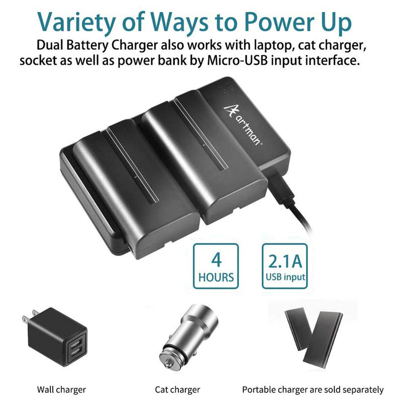 Artman 2-Pack NP-F550 Batteries and Dual Micro USB Charger for Sony NP F970, F960, F770, F750, F570, F550, F530, F330, CCD-SC55, TR516, TR716, TR818, TR910, TR917, TR940 (2900mAh)
