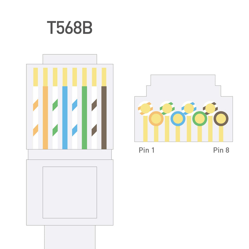 Cable Matters 100-Pack CAT6 RJ45 Modular Plugs (RJ45 Connectors / Cat6 Connector / Cat6 RJ45 Ends / RJ45 Plugs) for Solid or Stranded UTP Cable Cat6 Regular