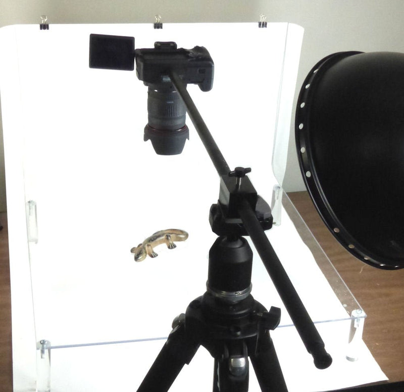 ALZO Horizontal Camera Mount, Tripod Accessory for Overhead Product Photography
