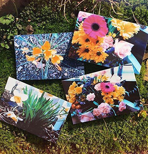 Polaroid 2x3ʺ Premium Zink Photo Paper (30 Pack) Compatible with Polaroid Mint Camera, Snap/Snap Touch Instant Print Cameras & Polaroid Mint and Zip Photo Printers. 30 Pack Zink Paper