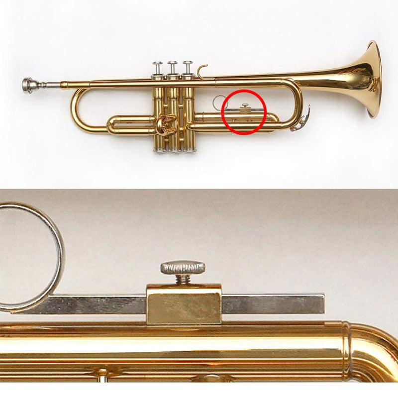 Trumpet Screw,Trumpet Cap Screw,Trumpet Slide Screw Button for Trumpet Key Buttom Piston Valve Cap Screw Replacement Slide Finger Ring Fixing Screws (Pack of 5)