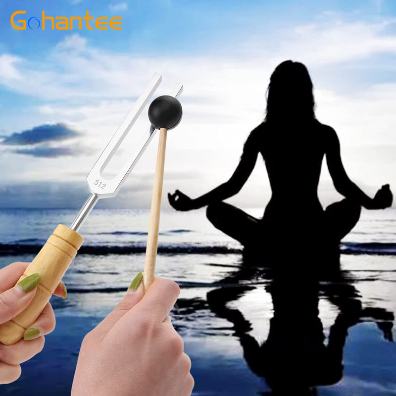 gohantee Tuning Fork 512 Hz with Silicone Hammer and Storage Bag for Hearing Tests, Violin Guitar Tuner Instrument Sound therapy, Stainless Steel Tuning Fork for Medical Healing