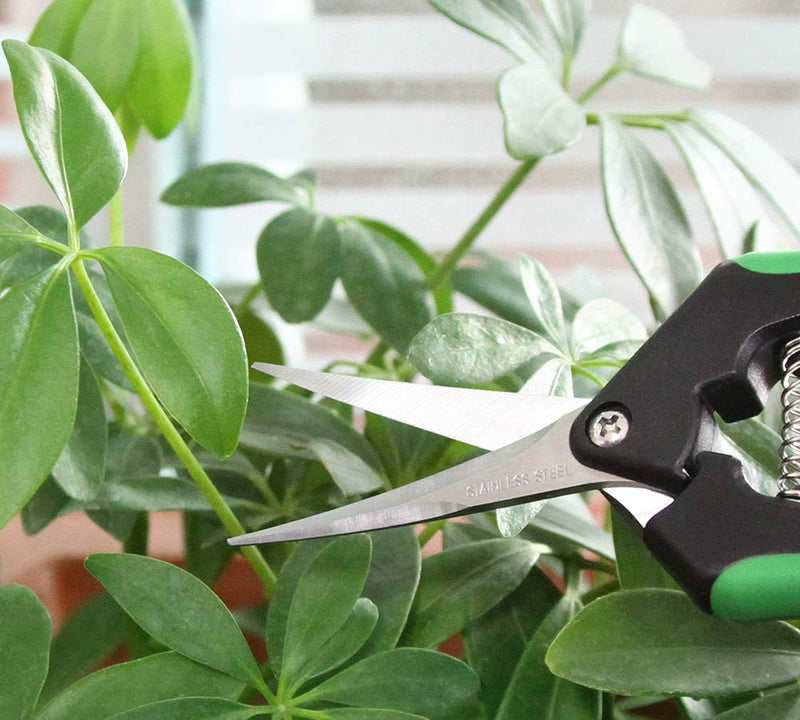 LDK Gardening Hand Pruner Pruning Snip Pruning Shears for Bud, Garden Trimming Scissors with Stainless Steel Curved Blades, 6.5-Inch Curved Blade