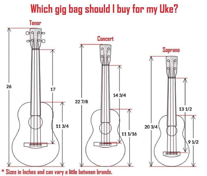 Hola! Music Heavy Duty CONCERT Ukulele Gig Bag (up to 24 Inch) with 15mm Padding, Black