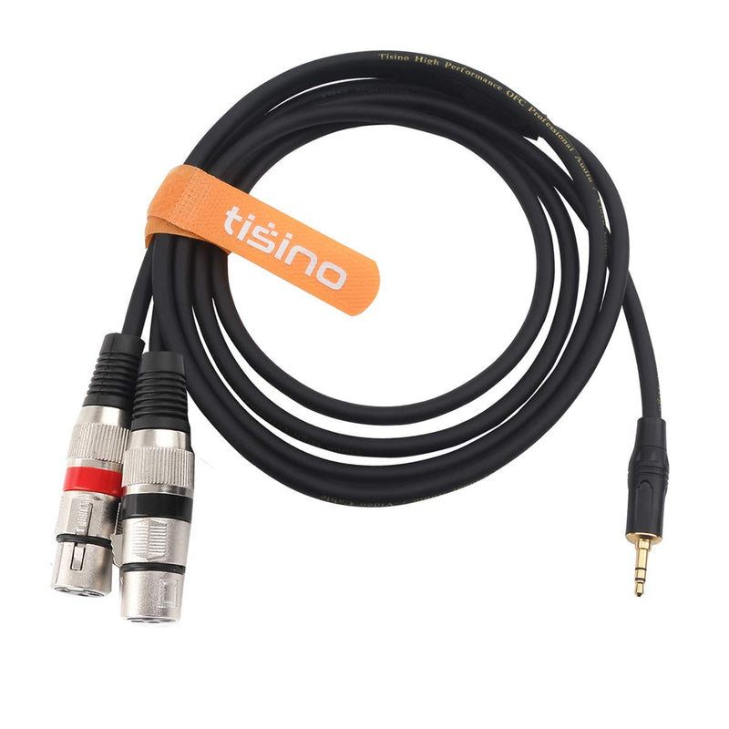 TISINO Dual XLR Female to 3.5mm Stereo Microphone Cable, Unbalanced Double XLR to 1/8 Inch Aux Mini Jack Y-Splitter Breakout Lead Mic Cord - 3.3 feet