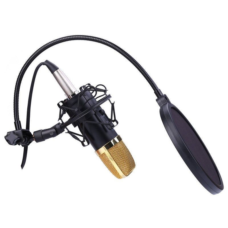 Microphone Shock Mount with 6 Inch Mic Round Shape Wind Pop Filter Mask Shield, Mic Anti-Vibration Suspension Shock Mount Holder Clip for Diameter 1.8inches to 2.1 inches Microphone