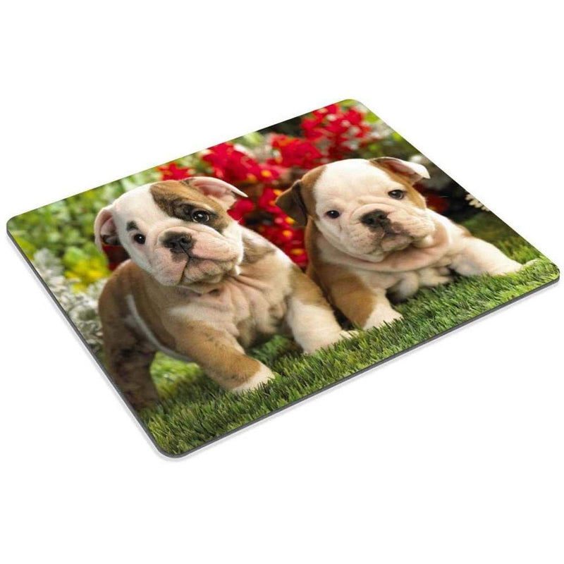 Goodaily Mouse Pad Monkey Mother Hold The White Baby Tiger Mouse Mat Stylish Office Accessory 9 x 7.5in 9 x 7.5inch Black