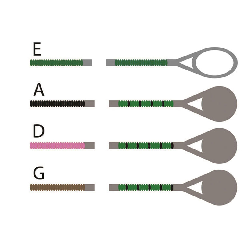[AUSTRALIA] - Pirastro Evah Pirazzi 4/4 Violin String Set - Medium Gauge - Steel Loop-End E 