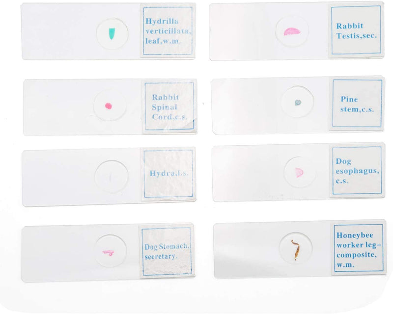 25pc Assorted Specimen Collection of Prepared Microscope Slides Glass Slide
