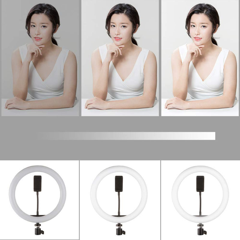 FocusFoto Ring Light Kit: 10" Dimmable LED Ring Light, Light Standfor Camera,Smartphone,YouTube,Self-Portrait Shooting