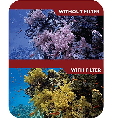 4pc Filter Kit For GoPro Hero 3 Large Dive case. Filters come w/ Soft Case. Red, Purple, Pink and Gray Colors. Scuba Green Water, Scuba Tropical Water, ND & Warming Filters & an eCostConnection Microfiber Cloth for Hero3