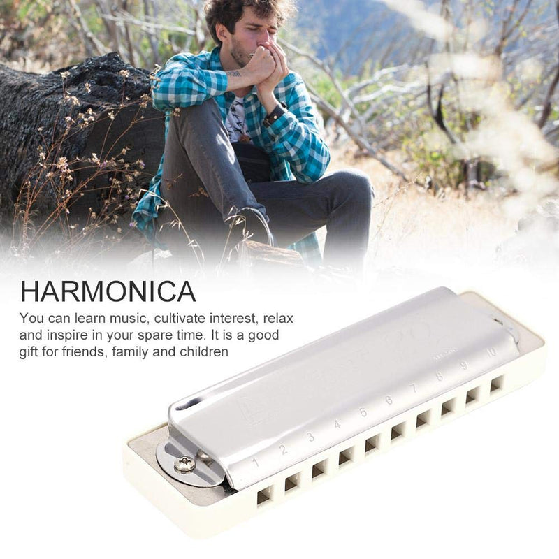 KONGSHENG AM-20D Key of C Phosphor Bronze Reed 10 Hole 20 Tone Blues Harmonica Suitable for Beginners, Kids and Adults.(white) white