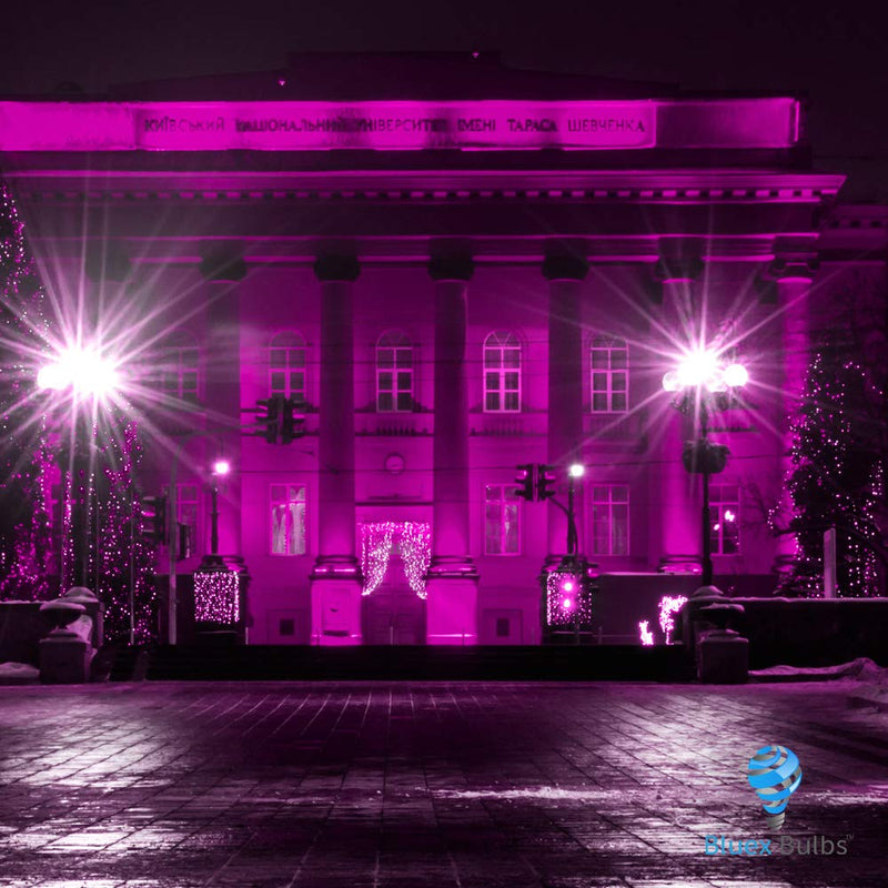 2 Pack BlueX LED Par38 Flood Pink Light Bulb - 18W (120Watt Equivalent) - Dimmable - E26 Base Pink LED Lights, Party Decoration, Porch, Home Lighting, Holiday Lighting, Pink Flood Light (Red)