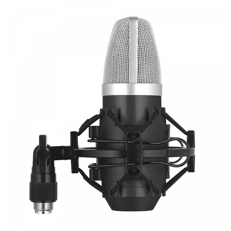Stagg SUM40 USB Condenser Microphone Full Size