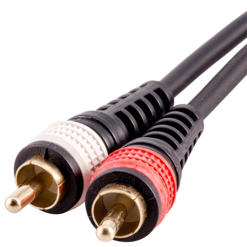 Seismic Audio 3 Foot 2 XLR Female to 2 Male Patch Cable XLRF to Dual RCA Audio Cord (SA-Y21)