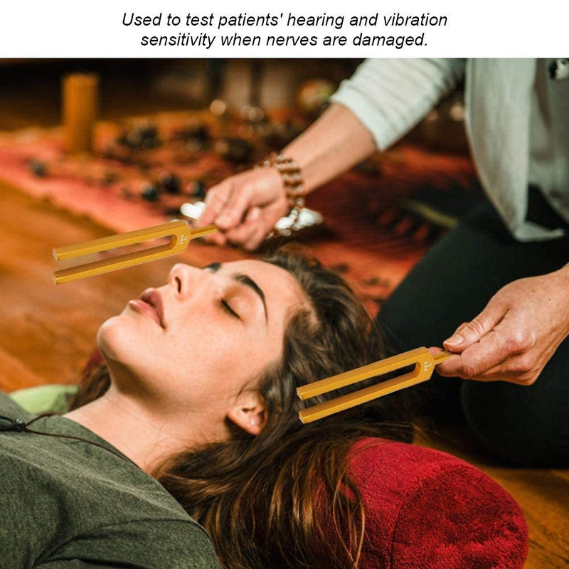 C256 Tuning Fork Aluminum Alloy Tuning Fork with Hammer and Storage Bag, Standard Hearing Healing Musical Instrument Piano Tuning Kit