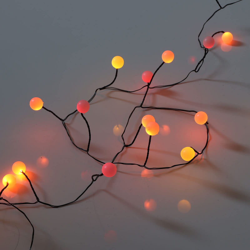 Qbis Berry Christmas Lights - 40 LED Sunset Berry Lights. Red, Orange and Yellow. Multi-Colour Christmas Lights. Battery Powered Fairy Lights for Indoor use Multi (Red, Orange & Yellow)