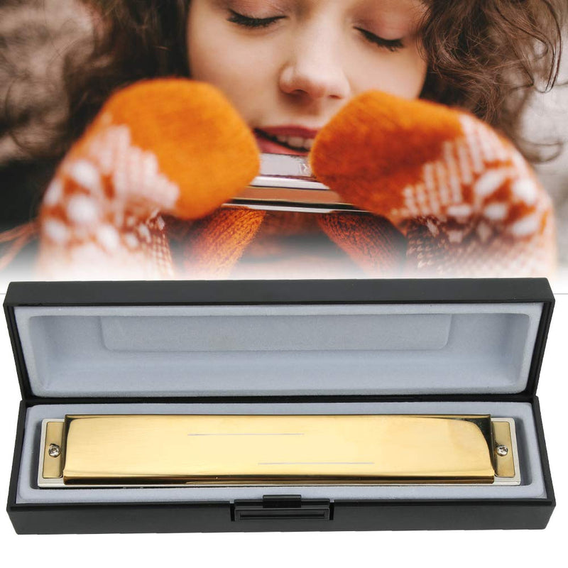 24 Holes Key of C Diatonic Harmonica Mouth Organ with Case for Adult Students Beginner (Golden C Key) Golden C Key