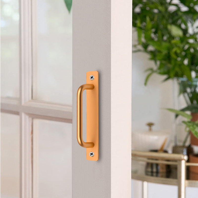 FasHuby 2 Pcs Closet Door Handles with Plate 7 Inch Gate Handle Modern Simple Door Pull Handle Hardware with Screws for Sliding Door Pull, Fence Cabinet Handle, Gold