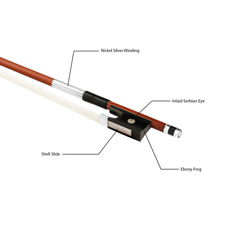 Forté Brazilwood Violin Bow - Round Stick, Half-mounted Ebony Frog and Authentic Horsehair (1/2) 1/2