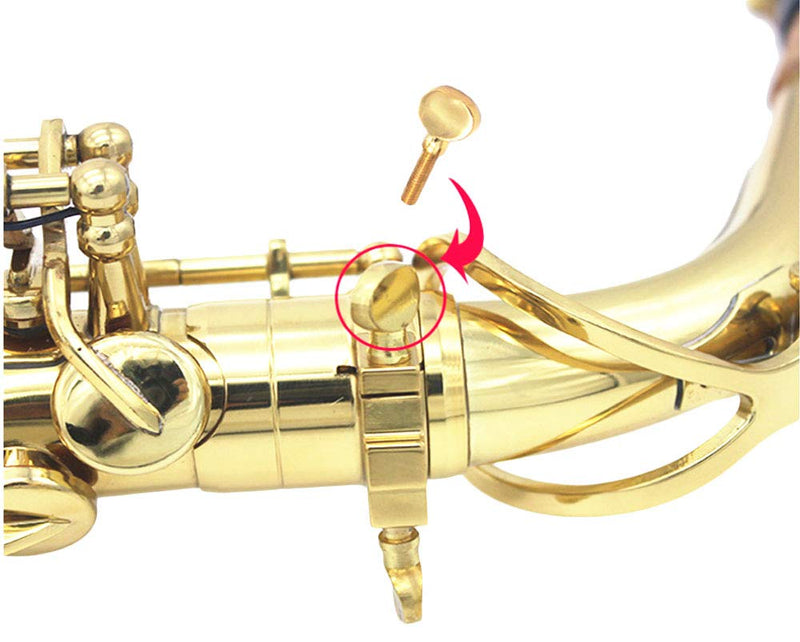 Jiayouy 2Pcs Golden Sax Neck Screw Tightening Screw for Saxophone Clarinet Ligatures Fixing Parts
