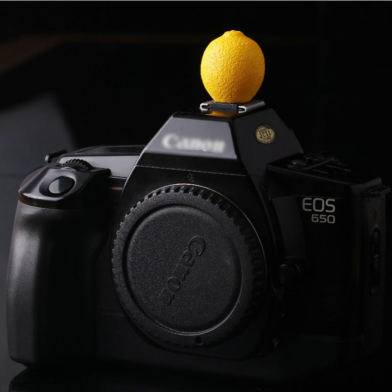 Renyian Fruit Shape Hot Shoe Cover Camera Hot Shoe Cap Camera Mount Protection Decor (Lemon) Lemon