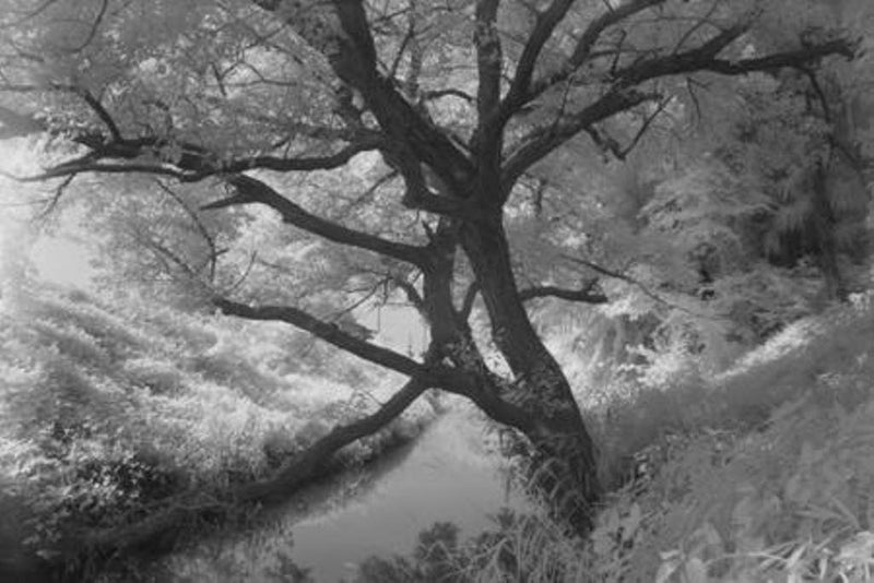 Hoya 72mm RM-72 Infrared Filter