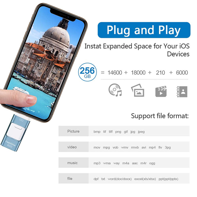 Sunany USB Flash Drive 256GB, Photo Stick Memory External Data Storage Thumb Drive Compatible with Phone, Pad, Android, PC and More Devices (Blue) Blue
