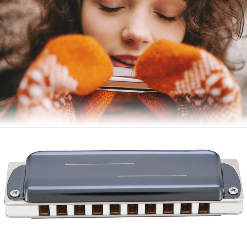 Ab Major Harmonica 10 Holes Mouth Organ for Beginners Professional Performance (White) White