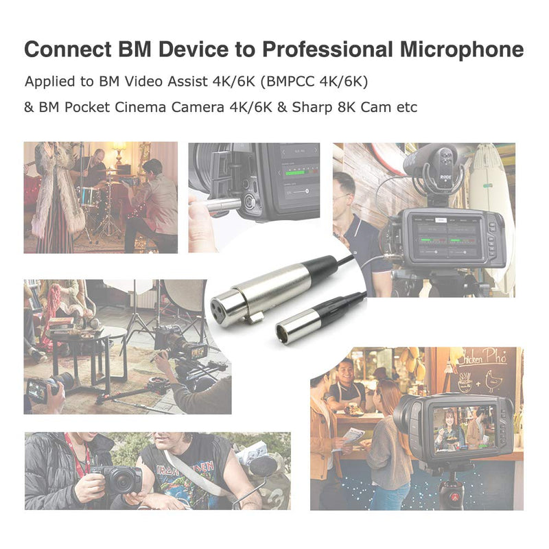 [AUSTRALIA] - HOSONGIN Mini XLR Male to XLR Female Cable, 3 PIN Mini XLR Microphone Cable for Blackmagic Pocket BMPCC 4K Camera Video Assist 4K, Mini XLR 3 Pin Pro Lapel Audio Cable Adapter 