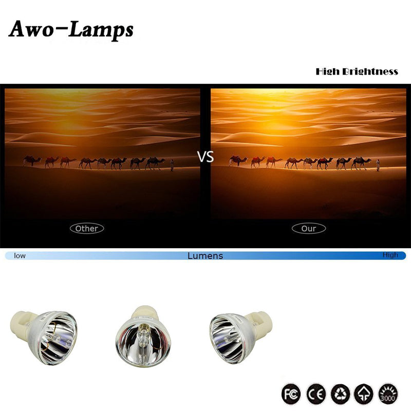AWO Original Projector Lamp Bulb RLC-049 / 5J.JED05.001 / EC.K1700.001 Fit for VIEWSONIC PJD6241,PJD6381,PJD6531W for BenQ TH683,W1090,HT1070 for ACER P1203,P1206,P1303W