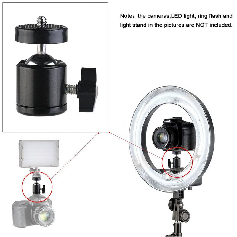 SLOW DOLPHIN Hot Shoe Mount Adapter 360 Degree Swivel Mini Ball Head 1/4 Tripod Screw Head for Cameras, Camcorders, Smart Phone, Gopro, LED Video Light, Microphone(2 Packs)