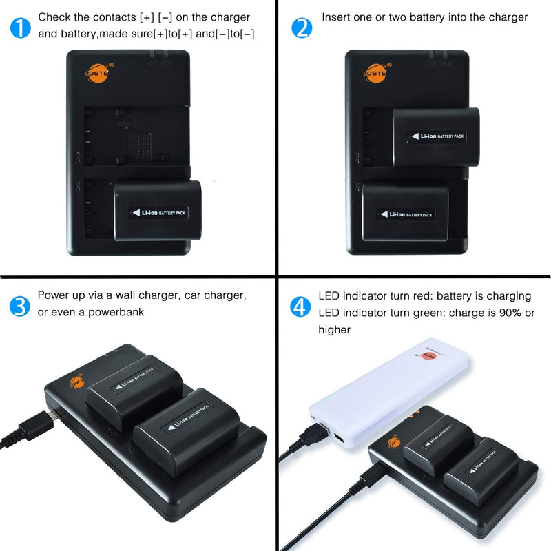 [AUSTRALIA] - DSTE Replacement for 2X NP-FV50 Battery + Rapid Dual Charger with Micro USB Cable Compatible Sony HDR-CX380 430V 900 580V 760V HDR-PJ540 650V HDR-PV710V 810 HDR-TD30V FDR-AX100 as NP-FV30 40 